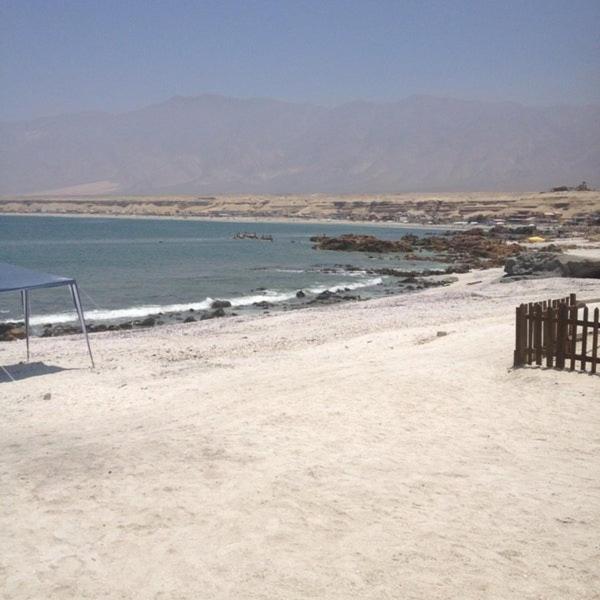 Hotel Alto Antofagasta Exterior photo